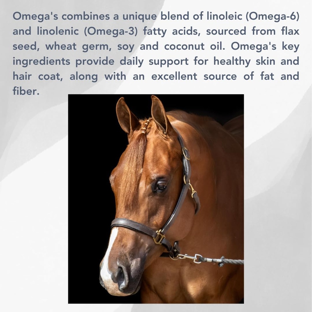 Omega (25lb) Apoyo saludable para caballos
