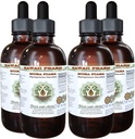 Muira Puama Extracto líquido libre de alcohol, Muira Puama orgánica (Ptychopetalum Olacoides) Suplemento natural herbario de glicerito, Hawaii Pharm, USA 4x4 oz