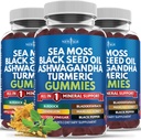 Sea Moss Gummies, Sea Moss, Black Seed, Ashwagandha, Turmeric, Manuka Honey, ACV, Dandelion, Black Pepper, Burdock, Bladderwrack, Vegan- 180 Count