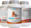 Suplemento urinario de perros - Enfermedad urinaria de perros Fórmula - Ayuda con la incontinencia y problemas de la vejiga - Immune Boost - Seda de maíz para perros - 1 Botella (90 Treats)