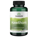 Swanson Hawthorn Extract (Standardized) 250 Milligrams 120 Capsules