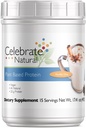 Celebrate Vitamins Vegan Protein Powder - All Natural Plant Based Protein Shake Mix - 20g Pea Protein & 3g Fiber, for Post-Bariatric Surgery - Vanilla Chai (15 Servings)