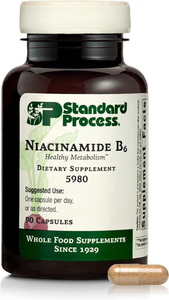 Proceso estándar Niacinamide B6 - Apoya Metabolismo energético & Nervous System Health - Ayudas Blood Flow " Digestive Health with Niacin " Vitamin B6 - Non-Dairy - 90 cápsulas