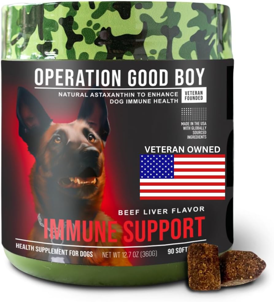 Operación Good Boy Immune Support Suplemento para Perros, Vitamínico C Chews – 90 Soft Treats, Natural Ingredients, Veteran Owned, Beef Flavored