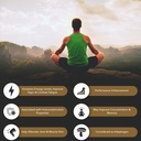 Shilajit Pure Himalayan Organic Resin Gel — Energy Boost, Digestive Health & Immune Support — Trace Minerals Natural Black Shilajit for Men &amp; Women — Rich in Fulvic Acid, Iron, Magnesium (60 Grams)