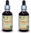 Balm Of Gilead (Populus candicans) Tincture, Organic Dried Buds Liquid Extract (Marca: HerbalTerra, Proudly made in USA) 2x2 fl.oz (2x60 ml)