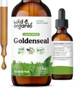 Wild &amp; Organic Goldenseal Root Tincture - Lung Cleanse, Immune &amp; Digestive Support - Liquid Goldenseal Supplement - Vegan, Sugar &amp; Alcohol-Free Herb Drops - 2 fl oz