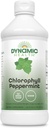Salud dinámica Clorofila líquido Peppermint 100 mg, clorofilinas de cobre de sodio con hojas de Alfalfa y Mulberry, limpieza de plantas y desodorización, sin azúcar añadido, 16 Fl Oz