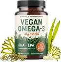 Vegan Omega 3 Algas Aceite TENIDO Planta Basada DHA EPA TENIDO Sustentably Sourced, No Carrageenan, Non GMO TENIDO Corazón, Cerebro y Ojo Salud ANTERIOR Fish Oil Alternative TEN Algae Omega 3 Suplemento TEN 60 Softgel Capsules