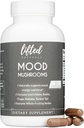 Mood Mushrooms - Lifted Mushroom Supplement - Lion's Mane, Reishi, Chaga, Turkey Tail, Maitake - Energy, Focus, Stress Relief