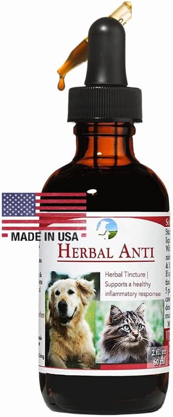 Vitality Science Herbal Anti for Cats and Dogs ← Plant Based ← GI Tract + Colon Health Supplement (0,5 oz)