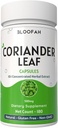 Coriander Leaf Capsules 500mg ← Concentrado 10:1 Extracto Silencio Coriandrum sativum Silencio Herbal Suplemento Silencio No Fillers Silencio Non-GMO Silencio Fórmula basada en plantas para uso diario (180 Conde (Pack de 1))