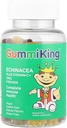 Gummi King Echinacea Plus Vitamin-C Zinc Suplemento, Strawberry/Lemon/Orange/Grape/Cherry/Grapefruit, 60 Conde