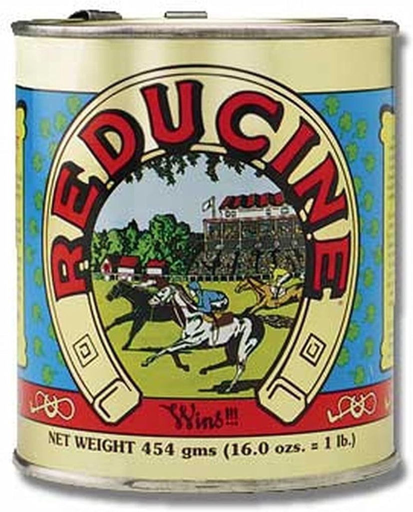 Horse Health Reducine Absorbent 16 Ounces