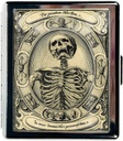 Organizador de pilas de viaje Funda de pequeña pill para Esenciales de Purse 7 Días Cute Pill Box con Mirror Caja de pill portátil para Pocket o Purse Pill Containe Travel Gifts (Skeleton Vintage)