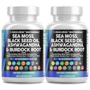 Nutracéuticos limpios Moss Mar Negro Semilla Aceite Ashwagandha Turmeric Bladderwrack Burdock & Vitamin C Vitamina D3 con Elderberry Manuka Dandelion Amarillo Dock Iodine Chlorophyll ACV - 2Pack