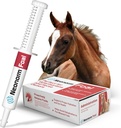 Jaguar Animal Health Foal - Equine Supplement Paste for The Support of Proper Hydration & Bowel Health - Plant-Based Product for Pre-Weaned Foals (30 mL)