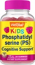 WellSí Kid's Phosphatidylserine Gummies (100mg) Phosphatidylserine Suplemento Silencio Cognitive Support  Raspberry Flavor ← Gluten Free, Non GMO ← 60 Conde