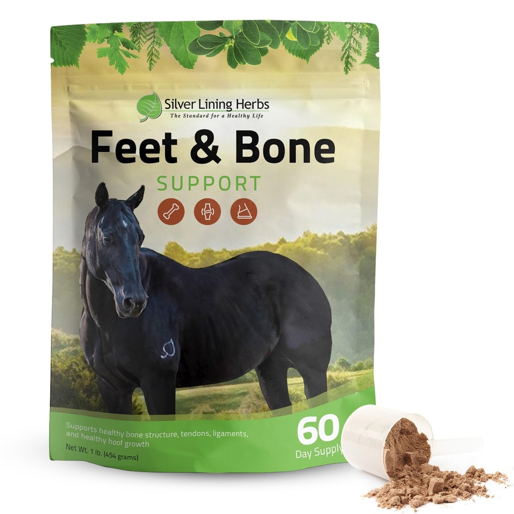 Herbs de forro de plata Pies &amp; Bone Support Horse Supplement Powder Natural Tendons, Ligamentos & Surrounding Tissues &amp; Hoof Suplemento para Caballos - Normal Limbs Circulation Horse Care Supplies - 1 LB
