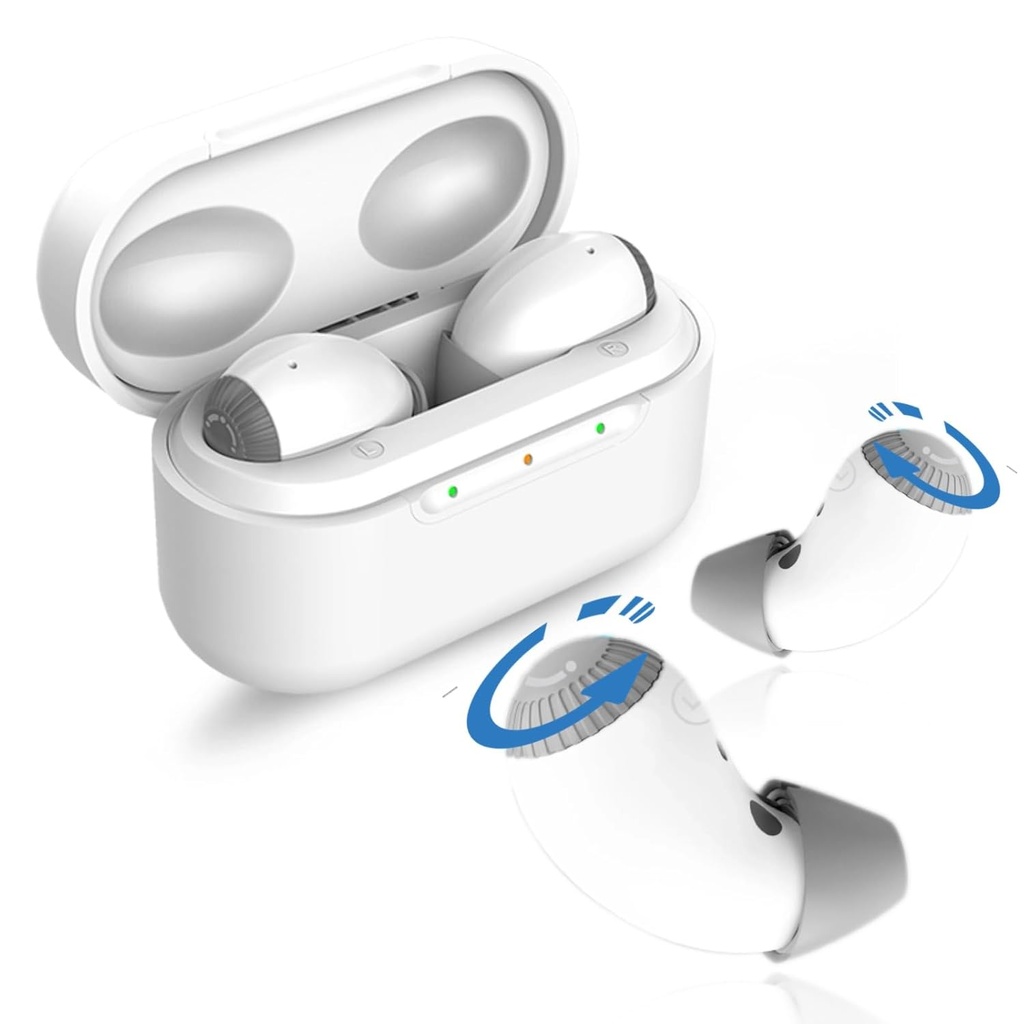 Ayudas auditivas con ayudas auditivas ruidosas para personas mayores pérdidas auditivas, ayuda auditiva con caso de carga cómoda " casi invisible