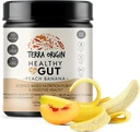 TERRA ORIGIN Saludable Gut Peach Banana ← 30-Servings with L-Glutamine, Zinc, Glucosamine, Slippery Elm Bark, Marshmallow Root y Más!