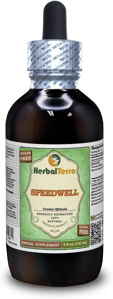 Speedwell (Veronica Officinalis) Glycerite, Orgánica Hojas secas Extract líquido libre de alcohol (Marca: HerbalTerra, Proudly Made in USA) 4 fl.oz (120 ml)