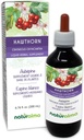 Naturalma Hawthorn (Crataegus oxyacantha) Hoja y Flor Alcohol-Free Tintura - 6.76 fl oz Liquid Extract in Drops - Herbal Supplement - Vegan