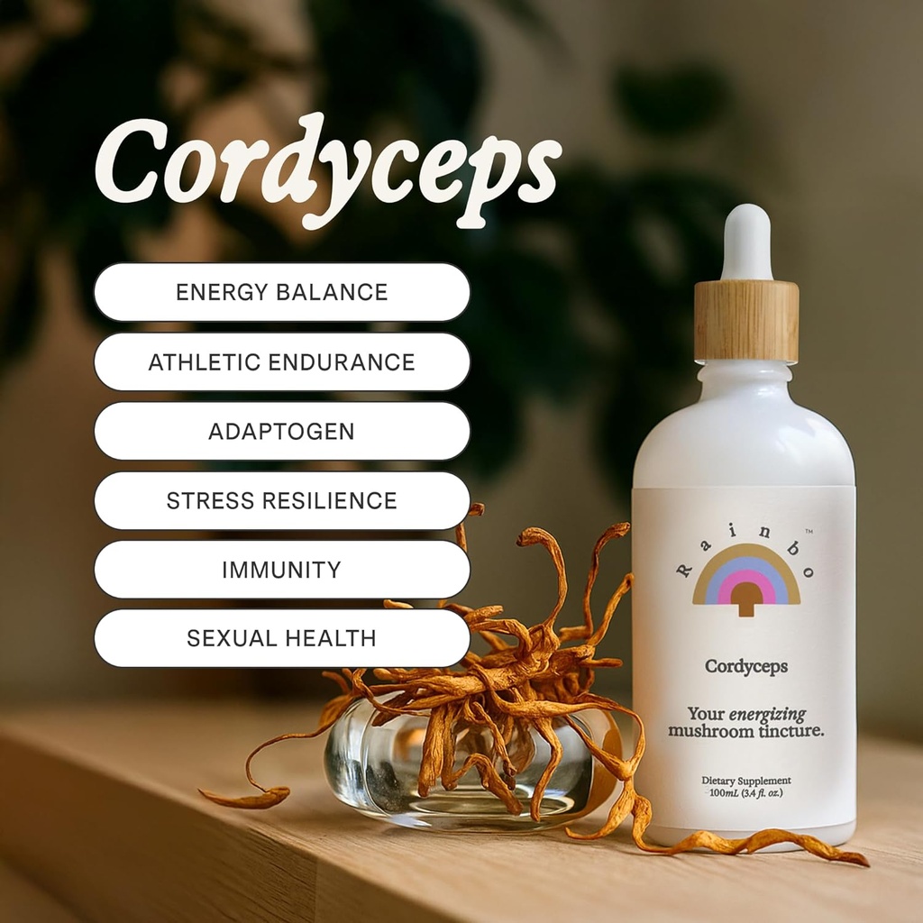 Rainbo - Cordyceps Mushroom Tincture - Alcohol Free - Dual Extract Mushroom Supplement - Immune Support, Energy, Liquid Cordyceps Supplement, Vegan, Non GMO, 3.4 fl oz