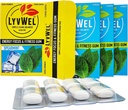 LyvWel Energy Gum Silencio 80mg Caffeine + 50mg Taurine por gem TEN All Natural ← Sugar-Free Pre-Workout Boost: Your Essential Energy Supplement to Stay Awake (Spearmint, 3 Pack)