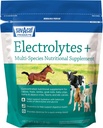 Sav-a-Caf Electrolytes PlusTM Suplemento Silencio 6 Libra (6 LB) Bolsa