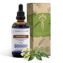 Secrets of the Tribe Quinine Alcohol-Free Tincture (Glycerite) 680 mg Wildcrafted Quinine (Cinchona officinalis) Dried Bark (4 Fl Oz) Leg Cramp Support Suplemento