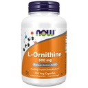 AHORA Suplementos de alimentos, L-Ornithine (L-Ornithine Hydrochloride) 500 mg, Amino Acid, 120 Veg Capsules