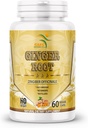 Orgánica Ginger Root Powder (Zingiber officinale) Apoyo digestivo - 60 cápsulas vegetales
