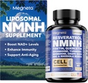 NMNH Suplemento - 500mg Por Serving, Boosts NAD+ Levels, NAD Supplement Supports Immune Health & Anti-Aging, 60 Capsules