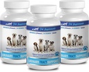 tratamiento de incontinencia urinaria para perros - DOG URINARY TRACT SUPPORT - NATURAL CRANBERRY SOLUTION - BLADDER HEALTH - VET RECOMENDADO - urinario de arándanos para perros - 3 Botella (270 Treats)