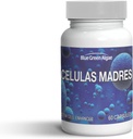 Celda Stem - Celulas Madres Suplemento para la Longevidad Anti-Envejecimiento, No GMO, Libre de gluten, Capsulas Vegetarianas, 60 Conde