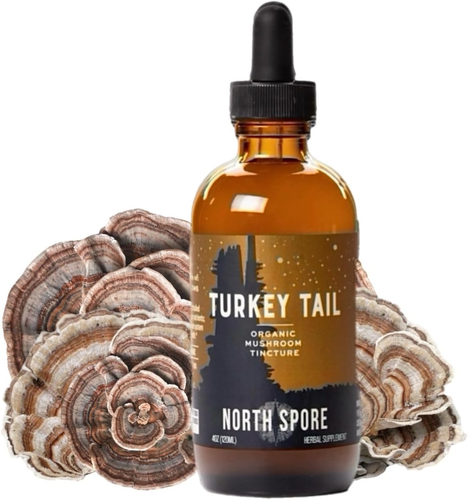 North Spore Organic Turkey Tail Tincture Silencioso Mushroom Suplemento para Immune Wellness Silencio Sustentably Grown " Confirmado para Potency ¦ Trametes Versicolor Extract ← Vegan, Non-GMO - 4oz