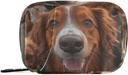 Organizador semanal de píldoras Grupo perros Golden Retriever Bolso pequeño de la caja de la pill Portable Caso 7 días Suplemento de vitamina Holder con cremallera para el negocio familiar