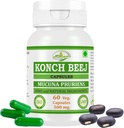 Kaunch MUCUNA PRURIENS Konch Beej, Kaunch Beej Extracto Cápsulas ← Potencia más alta, 100% Herbal Producto ← Pack de 60 X 500 mg. Veg. Cápsulas (Pack of 1 Jar)