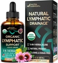 USDA Organic Lymphatic Drainage Supplement - Echinacea | Elderberry | Dandelion | Rosehip | Cleavers | Calendula | Burdock - Made in USA - Lymph System Drops - Immune Support, Cleanse & Detox, 2 fl oz