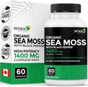 Renew Actives Sea Moss Triple-Action Antioxidant Blend with BioPerine – Organic Irish Sea Moss 500MG, Bladderwrack 500MG & Burdock Root 400MG por 2 cápsulas – Made in Canada - 60 cápsulas