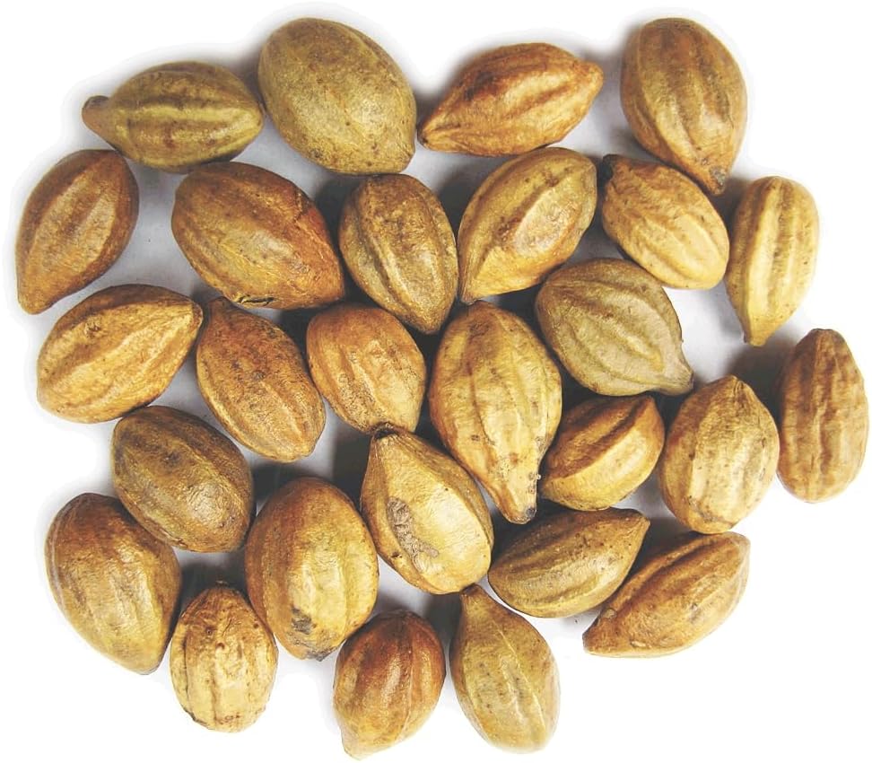 Naturales Terminalia Chebula Silencio Kadukkai vidas Harad Silencio Inknut Haritaki Indian Origin Herbs (200g(7 oz))