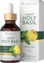 Carlyle Holy Basil Tincture TENIDO 2 Fl Oz TENIDO Líquido Suplemento TENIDO Tulsi Leaf ANTE Las gotas Vegetarianas ANTE No GMO, Gluten Free