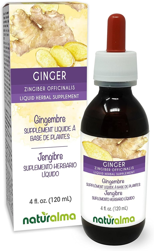Naturalma Ginger (Zingiber officinalis) Rhizome Alcohol-Free Tintura - 4 fl oz Liquid Extract in Drops - Herbal Supplement - Vegan