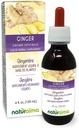Naturalma Ginger (Zingiber officinalis) Rhizome Alcohol-Free Tintura - 4 fl oz Liquid Extract in Drops - Herbal Supplement - Vegan