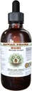 Extracto líquido libre de alcohol, Noni orgánico (Morinda citrifolia) Fruto seco Glicérite Natural Herbal Suplemento, Hawaii Pharm, USA 2 fl.oz
