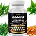 Sea Moss 3000mg Black Seed Oil 2000mg Ashwagandha 1000mg Bladderwrack 1000mg Turmeric 1000mg Burdock 1000mg Vitamina C &amp; D3 Elderberry Manuka Dandelion Yellow Dock Chlorophyll ACV