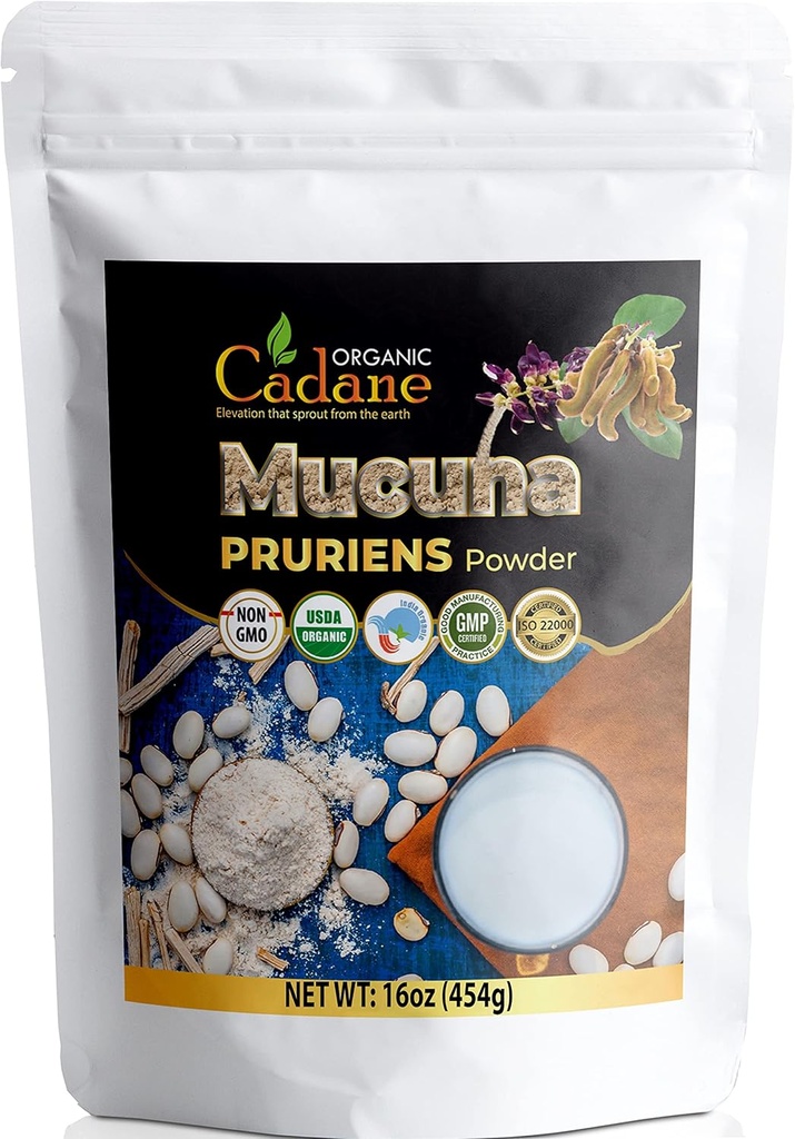 Orgánica Cadane Mucuna Pruriens Powder 1 Libra Silencio promueve la salud cerebral, apoya el sistema inmunológico, la energía tóxica USDA Certified Vegan-Friendly Suplementos ← Pure Natural Velvet Beans Extract from India
