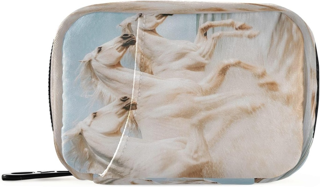 Caballos Running Travel Pill Organizer Bag, Weekly Daily Pill Case Bag Portable Pill Box for Vitamin Supplement Medicine