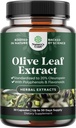 Potent Olive Leaf Extract Capsules - High Strength Antioxidant Supplement with Pure Olive Leaf with 20% Oleuropein - Herbal Heart Health Supplement - Vegan Non-GMO & Gluten Free (1 Month Supply)